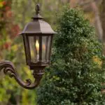 gas lamp and tree in background