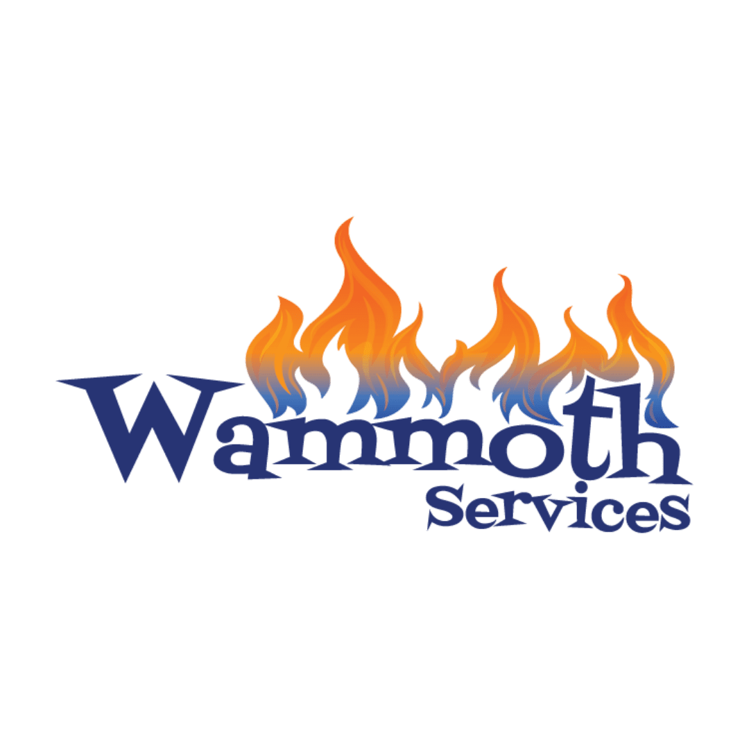 Wammoth Services Your Gas Fireplace Experts