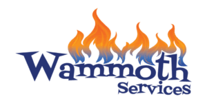 Wammoth Services Your Gas Fireplace Experts